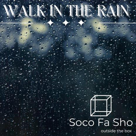 Walk in the Rain | Boomplay Music