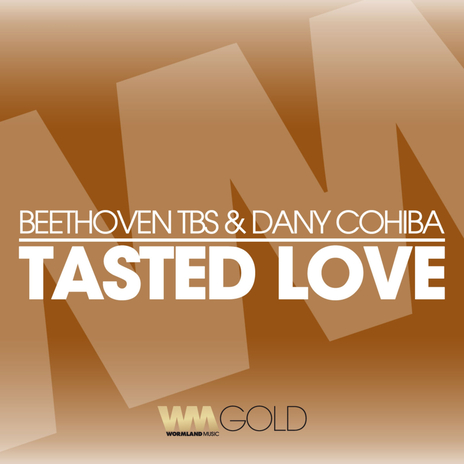 Tasted Love (Radio Cut) ft. Dany Cohiba | Boomplay Music