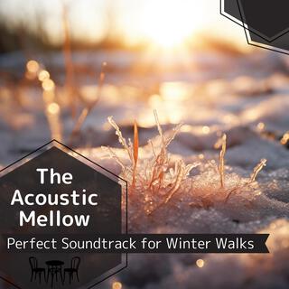 Perfect Soundtrack for Winter Walks