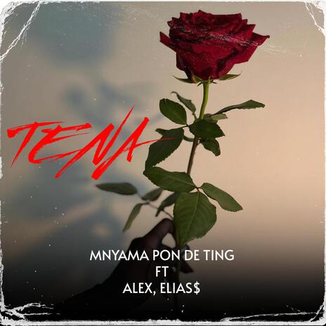 Tena ft. Alex & Elias$