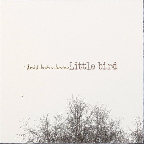 Little Bird (Drumless mix) | Boomplay Music