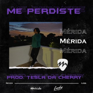 Me Perdiste ft. Tesla Da Cherry lyrics | Boomplay Music