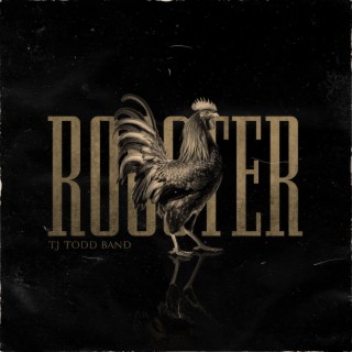 Rooster lyrics | Boomplay Music