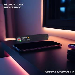 What U Want? (Remix)