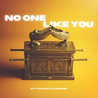 No One Like You (Live) lyrics | Boomplay Music