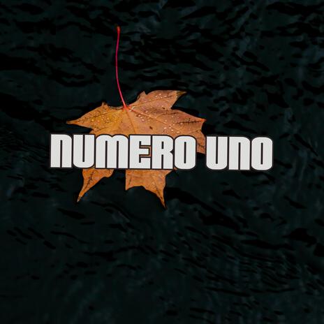 Numero uno | Boomplay Music