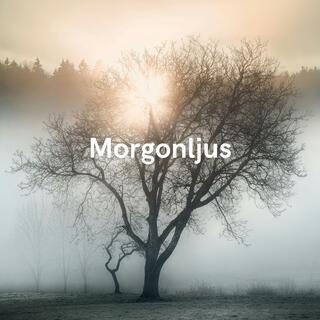 Morgonljus