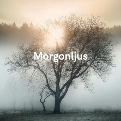 Morgonljus | Boomplay Music