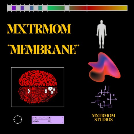 Membrane | Boomplay Music
