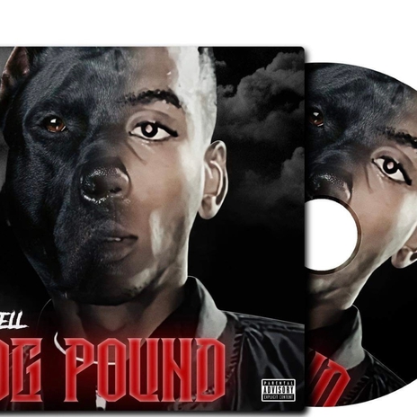 DOG POUND | Boomplay Music