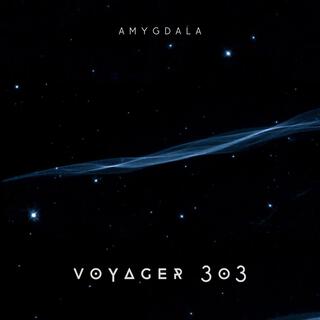 Voyager 303