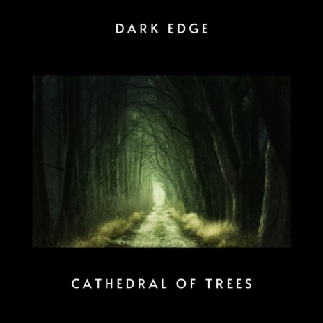 CATHEDRAL OF TREES | Boomplay Music