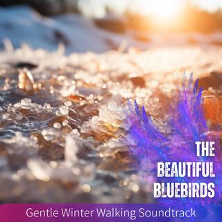 Gentle Winter Walking Soundtrack