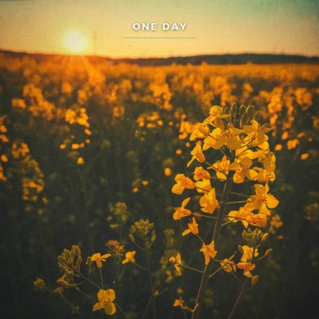 One Day | Boomplay Music