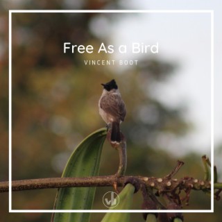 Free As A Bird