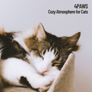4Paws: Cozy Atmosphere for Cats, because they need it too