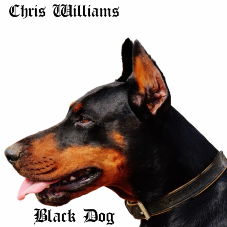 Black Dog | Boomplay Music