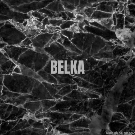 Belka | Boomplay Music