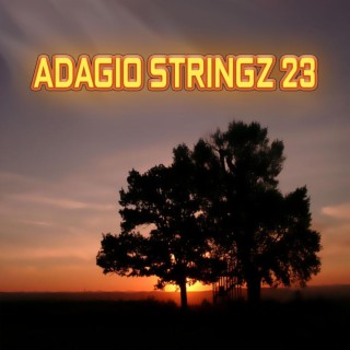 ADAGIO STRINGZ 23