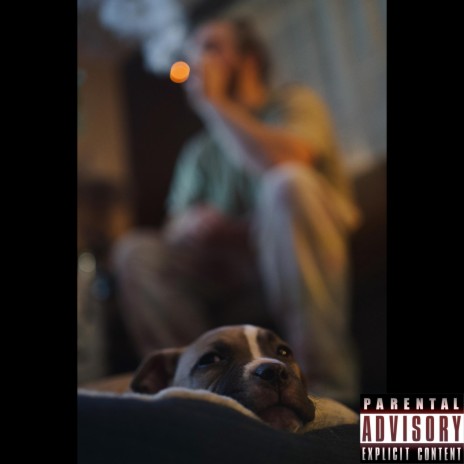The Dog | Boomplay Music