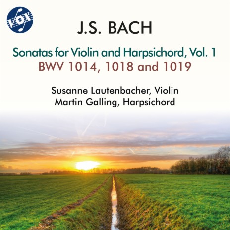 Violin Sonata No. 1 in B Minor, BWV 1014: III. Andante ft. Martin Galling | Boomplay Music