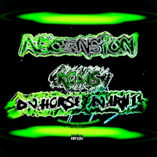 Ascension ft. Ajarni & DJ Horse lyrics | Boomplay Music