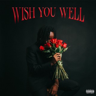 Wish You Well lyrics | Boomplay Music