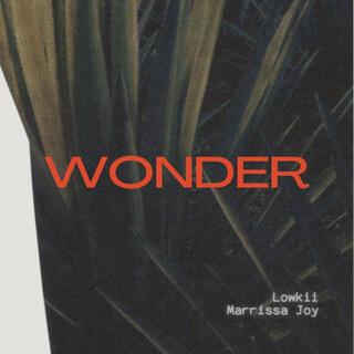 wonder