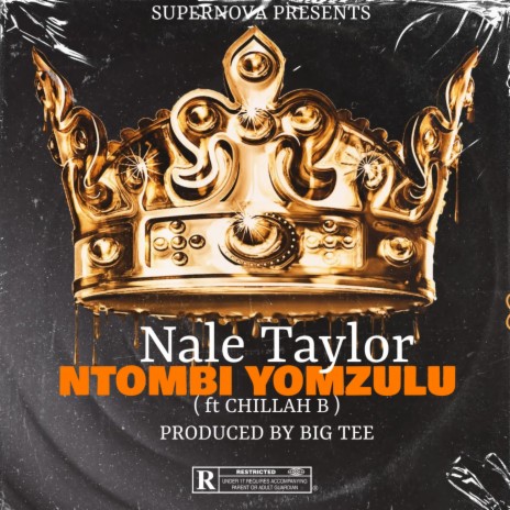 Ntombi Yomzulu ft. Chilla Bee | Boomplay Music