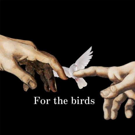 For the birds | Boomplay Music