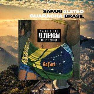 safari Guaracha aleteo (edit brasil)