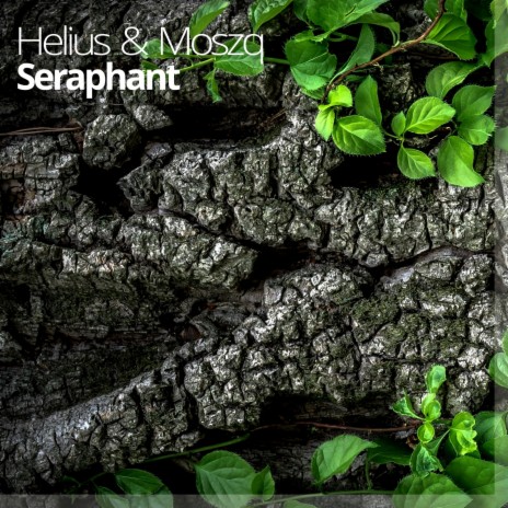Seraphant ft. Helius | Boomplay Music