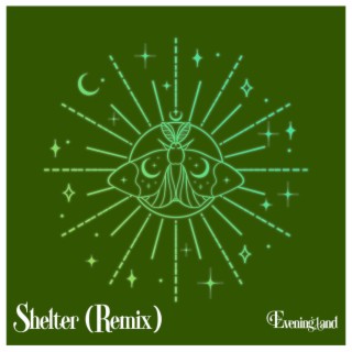 Shelter (Remix)