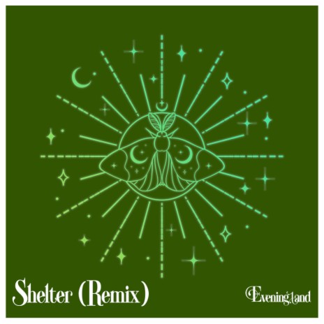 Shelter (Remix) | Boomplay Music