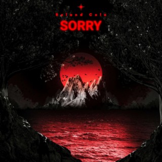 SORRY (TEKKNO)