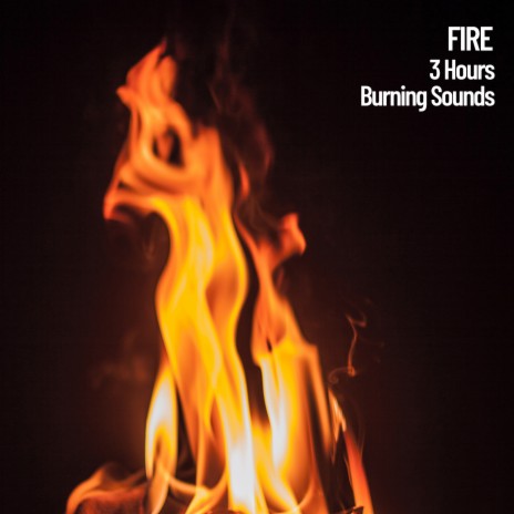 3 Hours of Fire Sounds ft. relaxing Music & Music For Dog's Ears | Boomplay Music