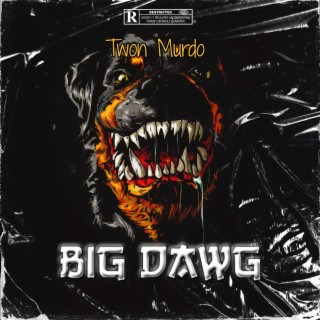 Big Dawg Freestyle lyrics | Boomplay Music