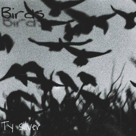 Birds | Boomplay Music