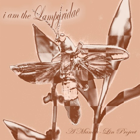 I Am the Lampyridae | Boomplay Music