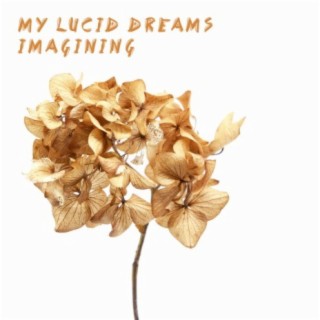 My Lucid Dreams