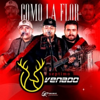 Como la Flor (En Vivo)