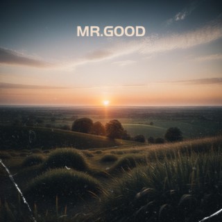 Mr.Good