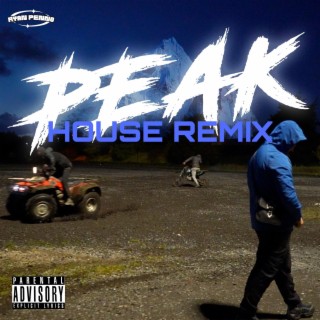 PEAK (HOUSE REMIX)