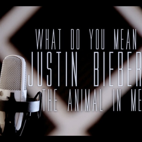 What Do You Mean | Boomplay Music