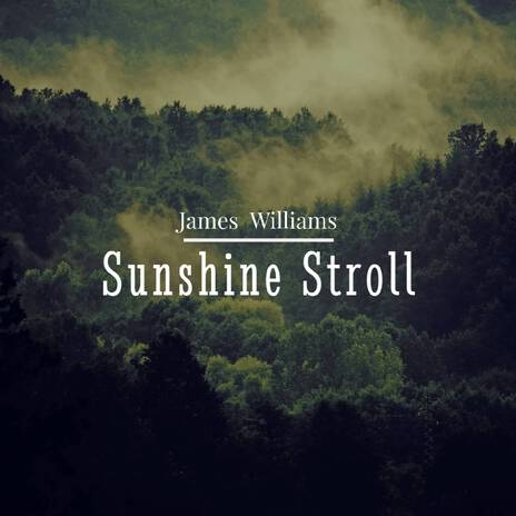 Sunshine Stroll | Boomplay Music