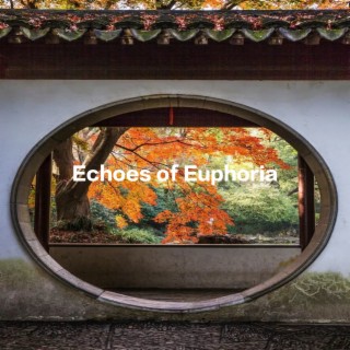 Echoes of Euphoria