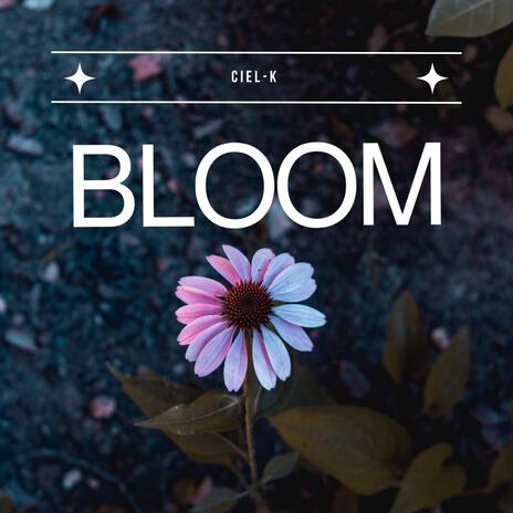 Bloom | Boomplay Music