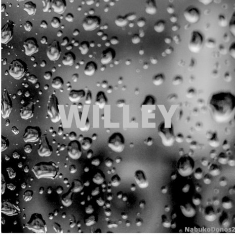 Willey | Boomplay Music