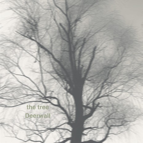 the tree