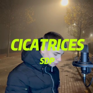 Cicatrices lyrics | Boomplay Music